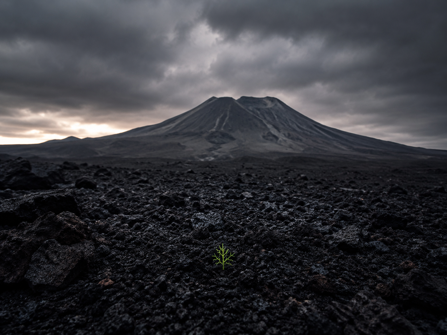 Fractalish First Life image: a small green branching form emerging from volcanic terrain